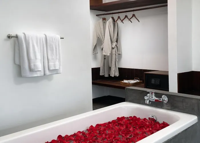 Hotel Boutique